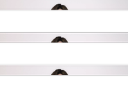 　　　　　　  弊社執行役員の鈴木