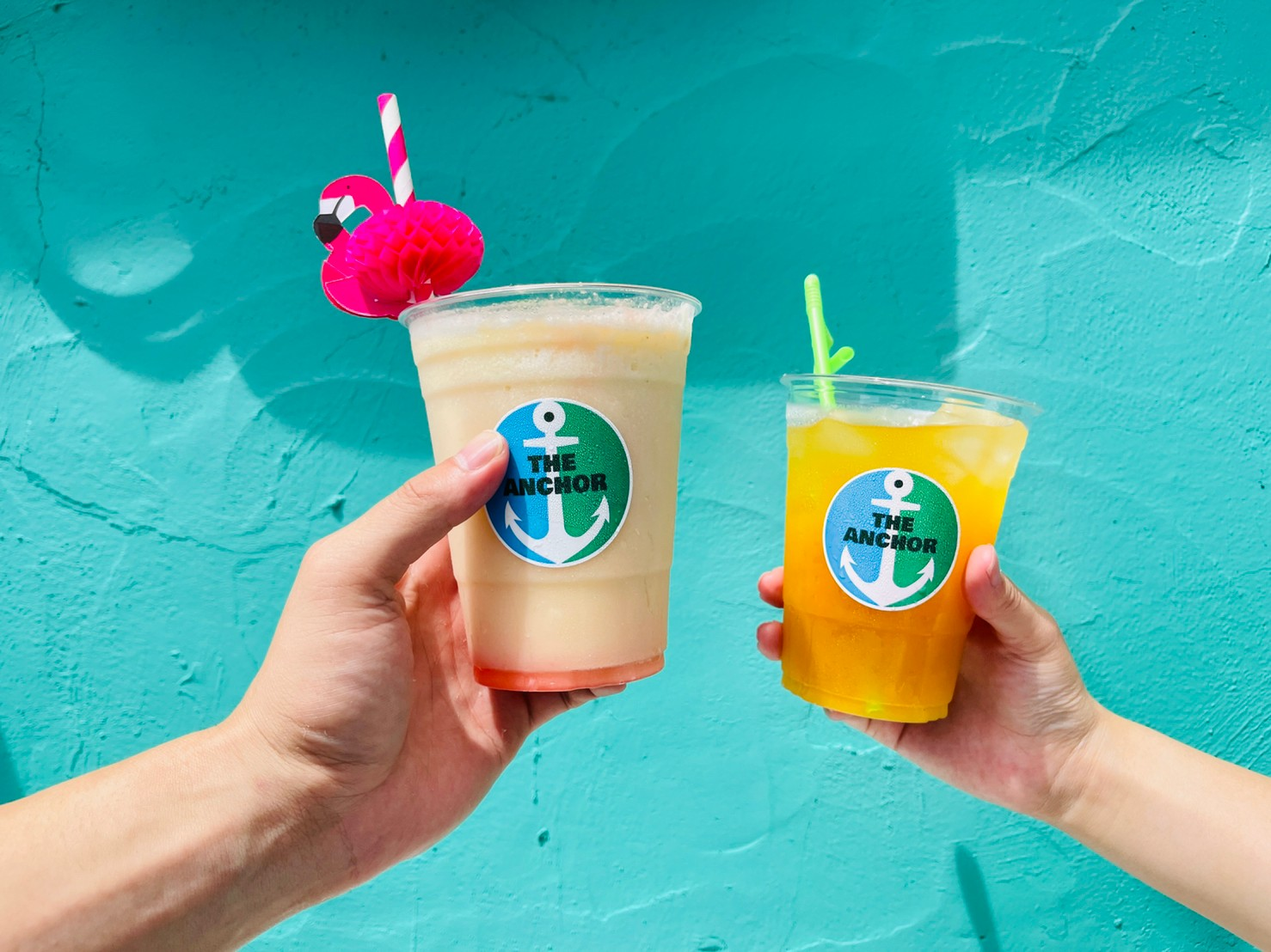 良い季節になってきました