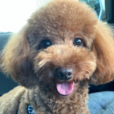 T. I