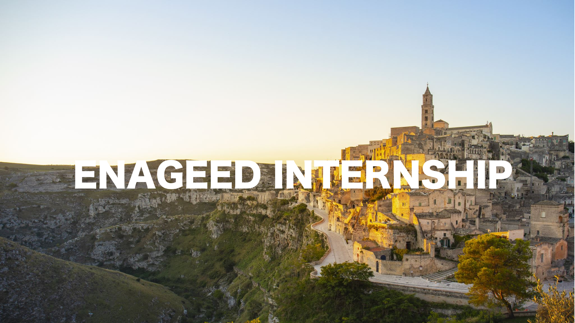 オンライン1dayインターンシップ実施しました！