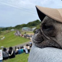 江崎 誠也さんのプロフィール