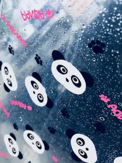 【インターン】インターン生、夏の1日