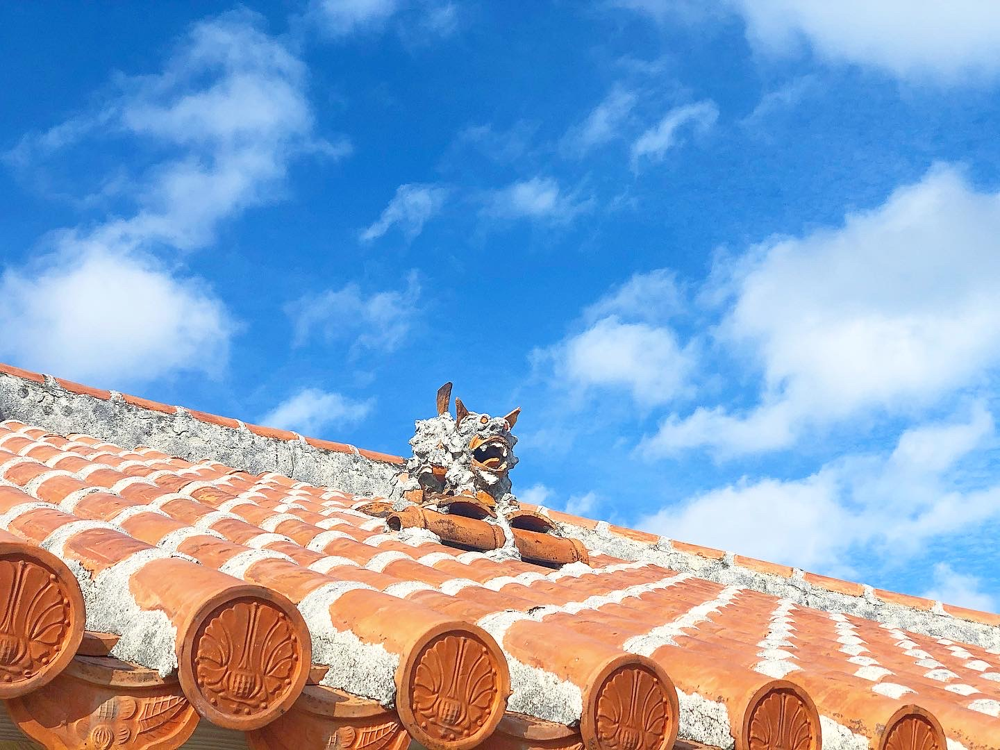 素人でいつづけるというプロ意識