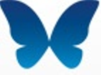 株式会社バタフライの会社情報