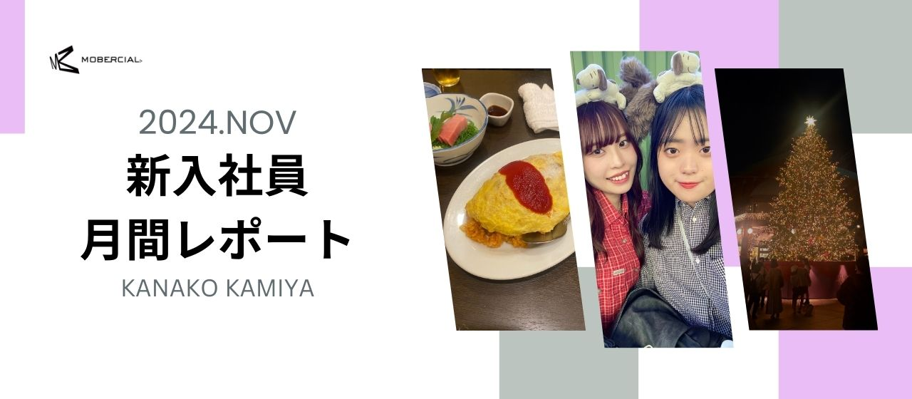 【大反省】新卒と言えなくなるまでもう少し！11月レポート！