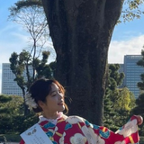 高山 桜