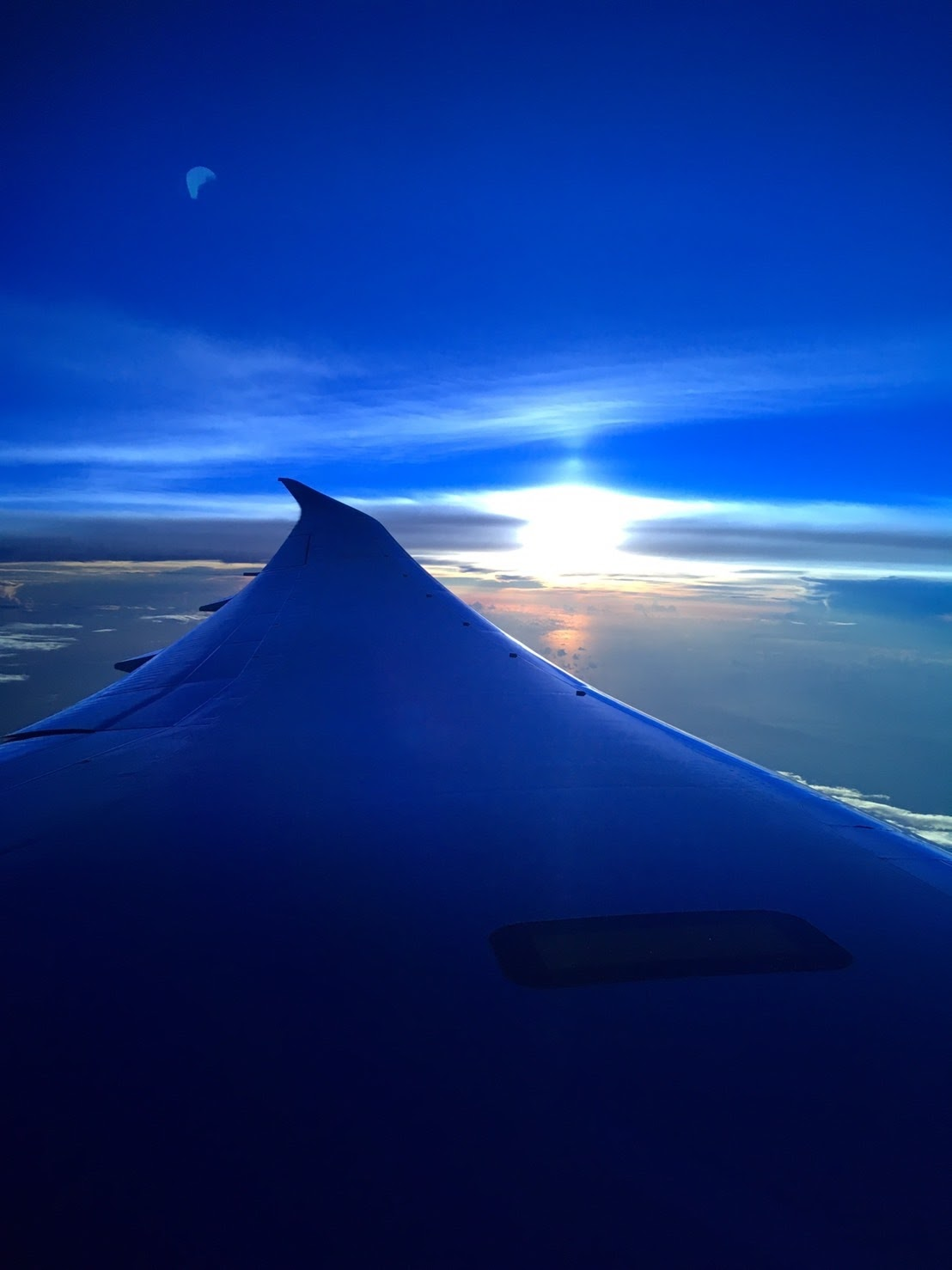 「パイロットかビザスクか」の二択だった私の就活