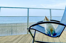 湘南のちいさな会社で、大きなサービス育てませんか？