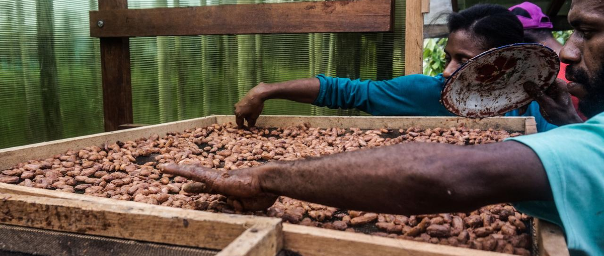 柔軟な働き方で、グローバルな社会課題解決に一緒に取り組みませんか？