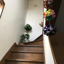 髙橋 香菜