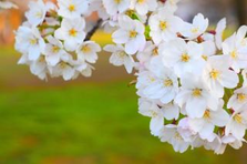 ０からでも大丈夫！ENGEIが徹底サポートします！！