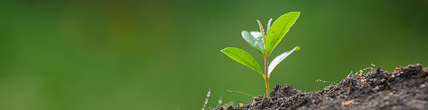 2025年春、新たな目線でお届けします♪