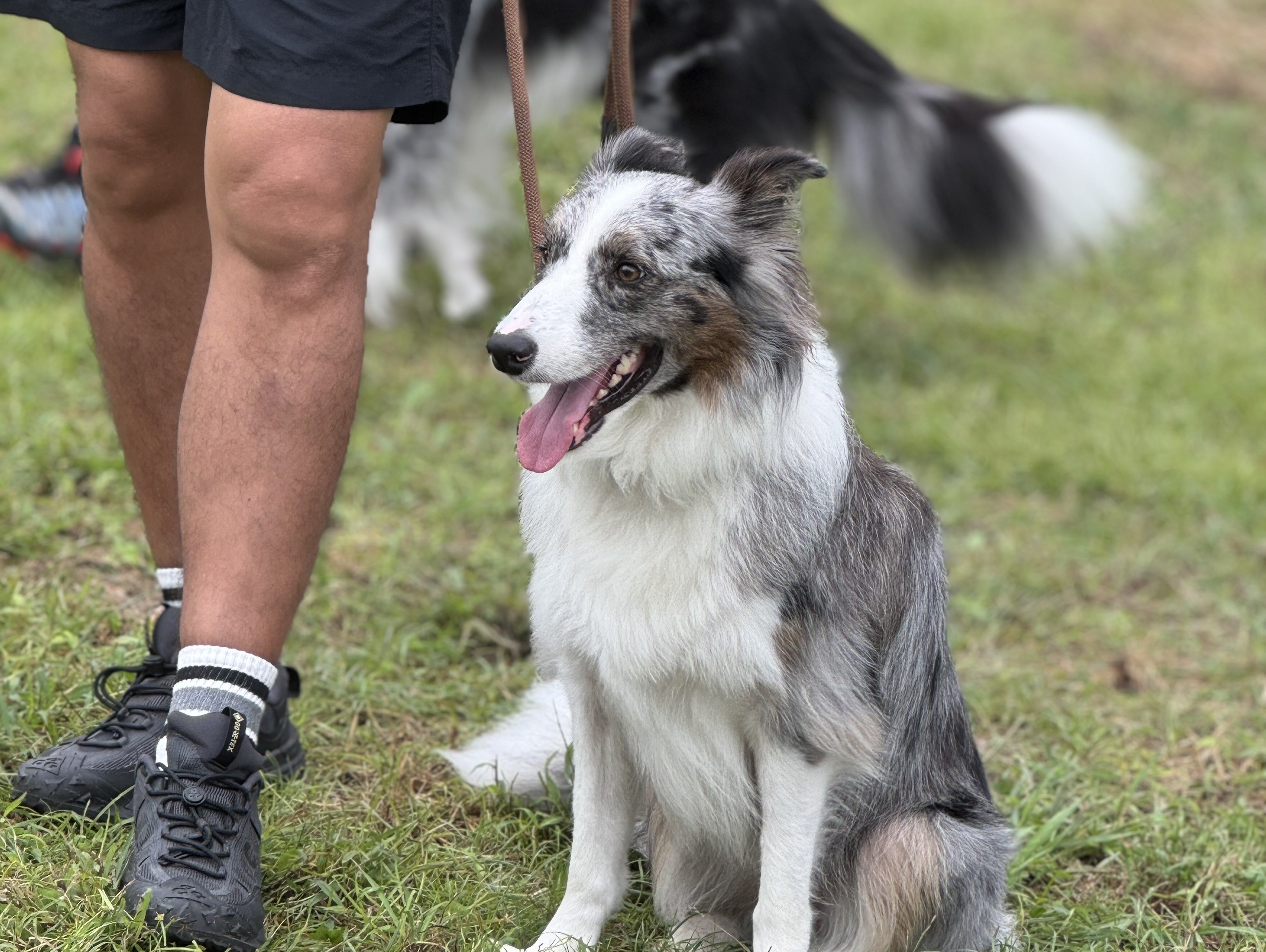 VOGUE風30の質問答えてみた | 社長編