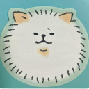河口 茉由