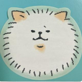 河口 茉由