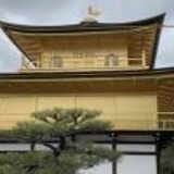 谷口 勝利