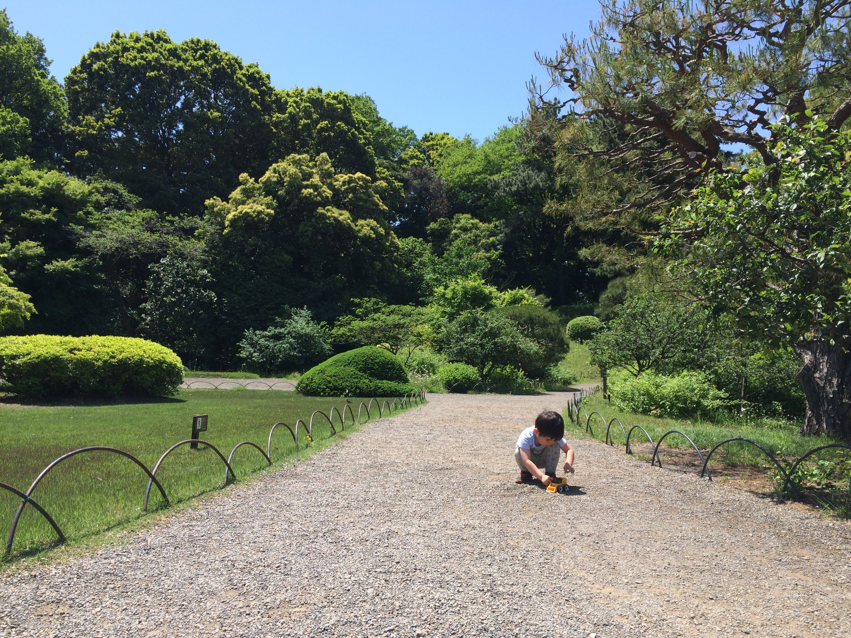 現在に至るまでの経緯（あるいは、どのように道に迷いながら歩いてきたか）