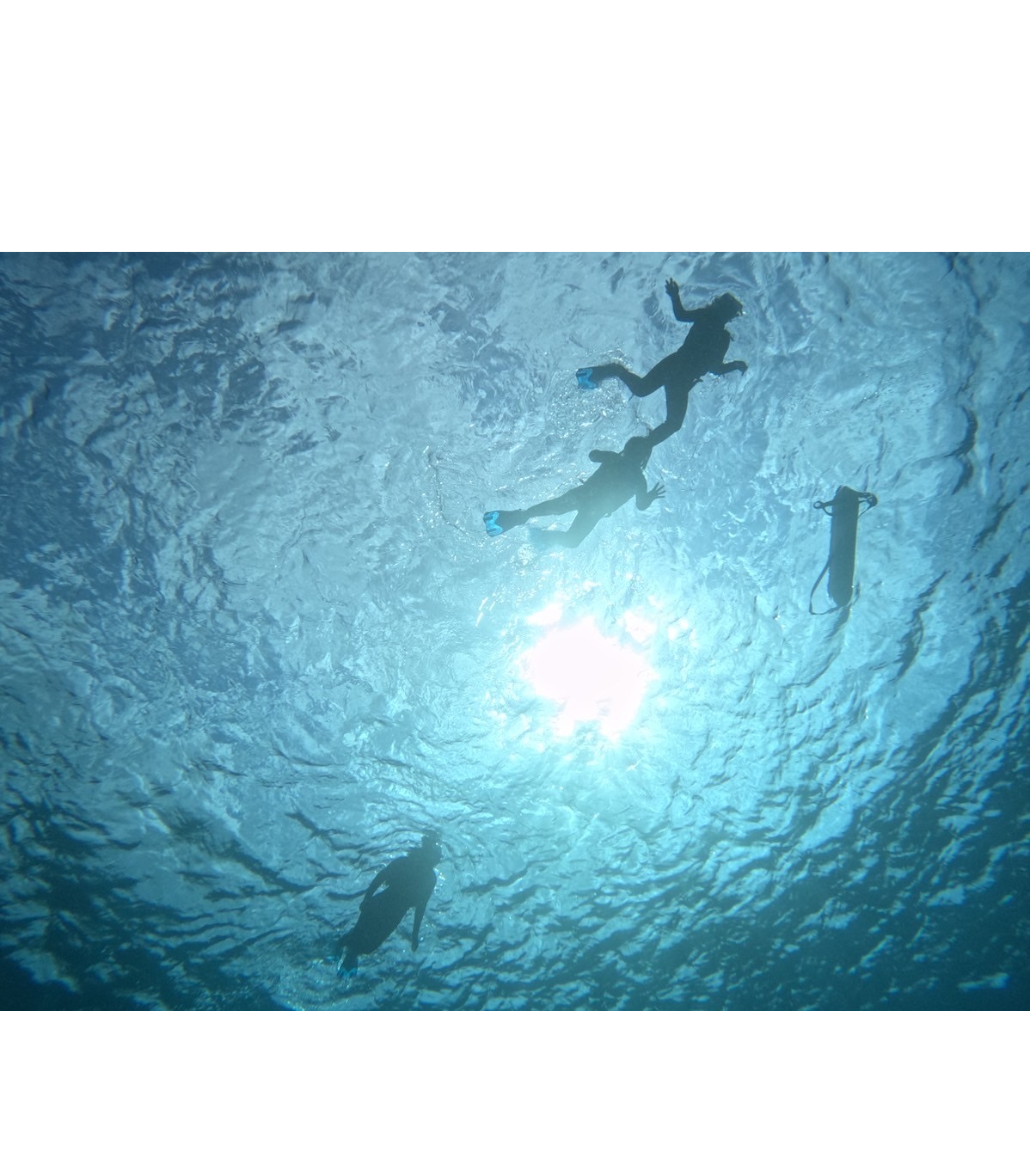 残りの30代で「誰と」「何に」挑戦するか？テックタッチを選んだ理由