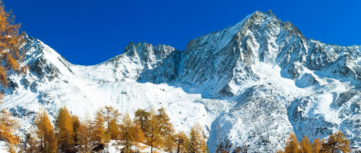 生成AI開発会社のAzureクラウドセキュリティエンジニア募集！