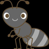 白樫 朋幸