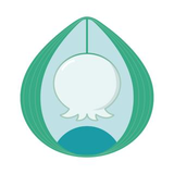 北村 珈乃