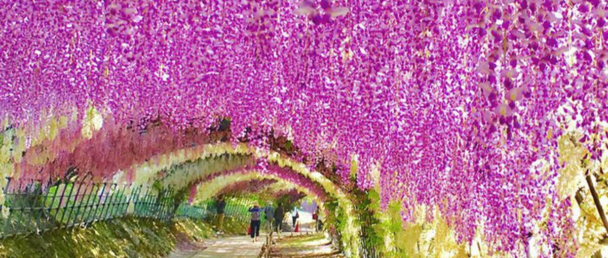 経験なしOK！空き家再生で地域に貢献する仕事＠北九州