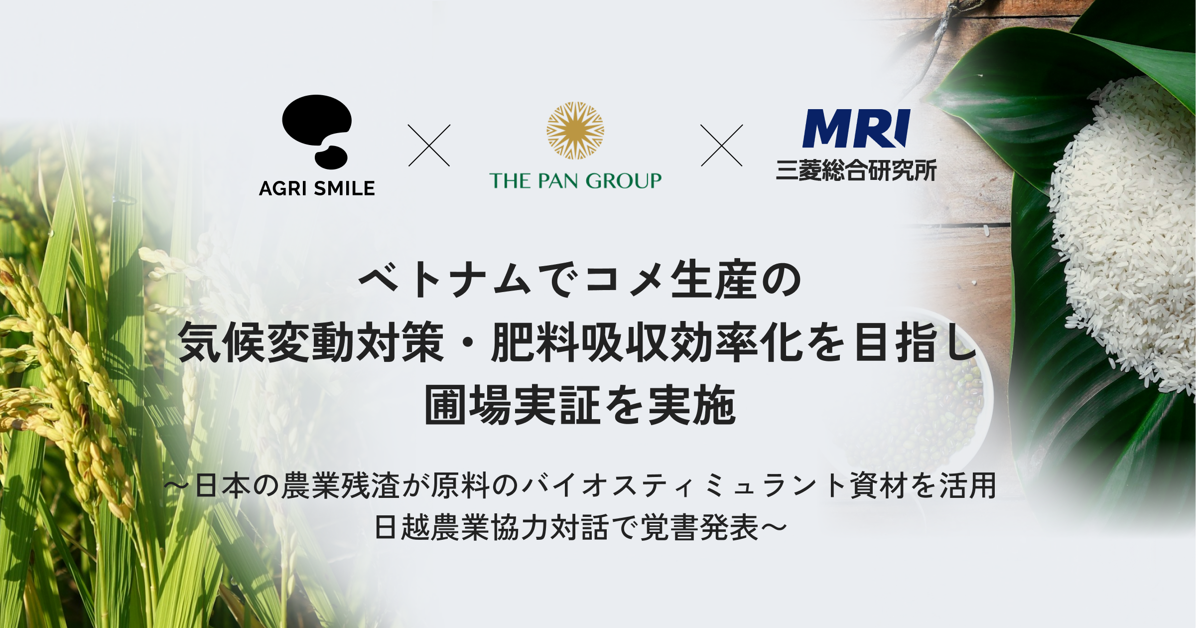 ベトナムでコメ生産の気候変動対策・肥料吸収効率化を目指し圃場実証を実施