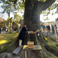 中村 依理加さんのプロフィール