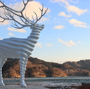 樹 菊田