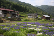 里山の暮らしは、持続可能な社会のモデルになり得るライフスタイル