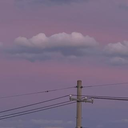 露 蒋