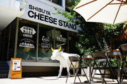 "奥渋谷"と呼ばれるエリアにある「SHIBUYA CHEESE STAND」