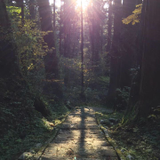 逸見 栞