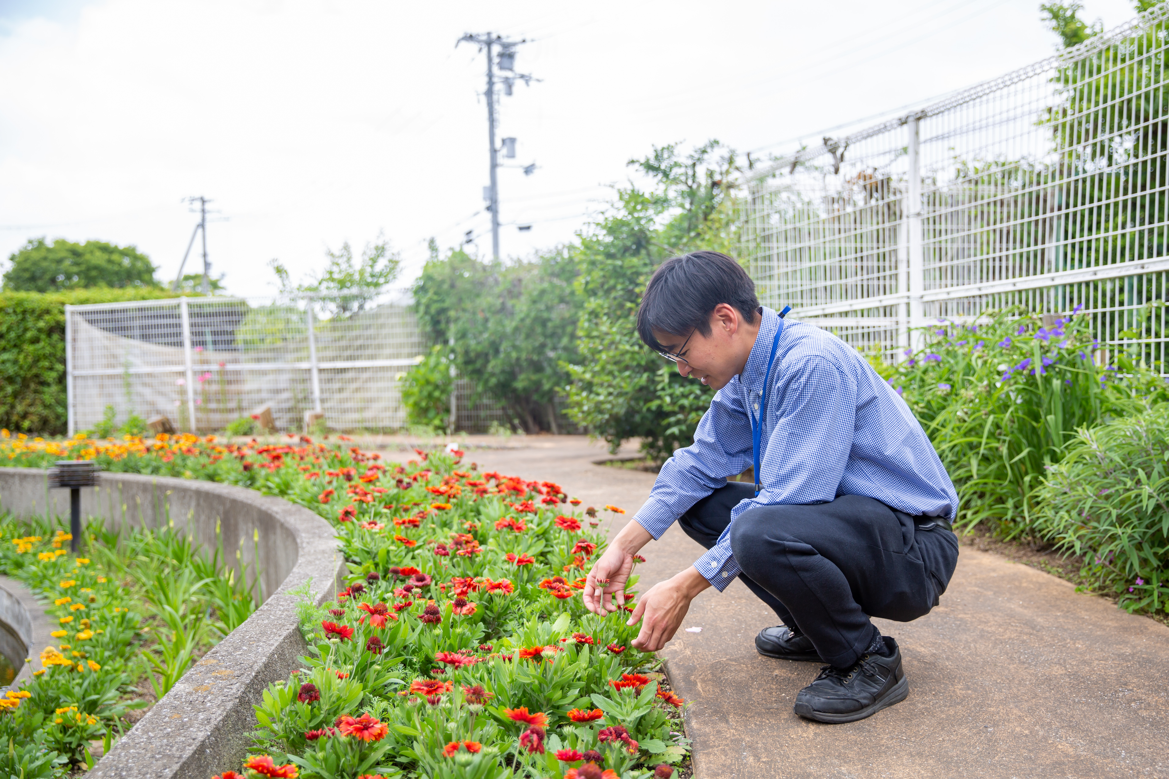 堺市都市緑化センターの1日