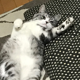 Kyo Dobashi