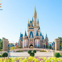 大西 有香さんのプロフィール