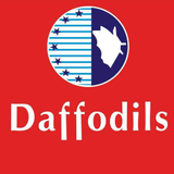 Daffodils