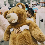 佐藤 香織