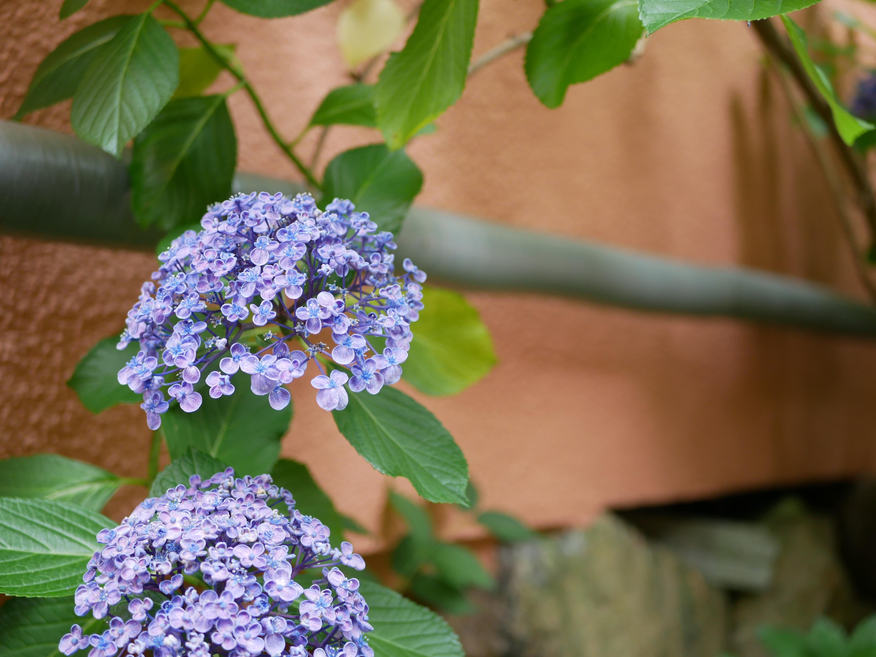 恵まれていると感じること