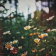 蓑田 朋未