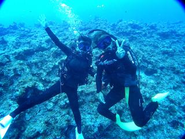 【日本で唯一の特殊!?な研修を提供】水の中でダイビングを使った海洋研修（チームビルディング研修）を日本で唯一実施しているので、トレーナーは全員プロダイバーです。興味のある方は、ダイビングライセンスも取得可能です。