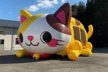 急拡大の関西エリアで成長を実感！営業サポートメンバー募集