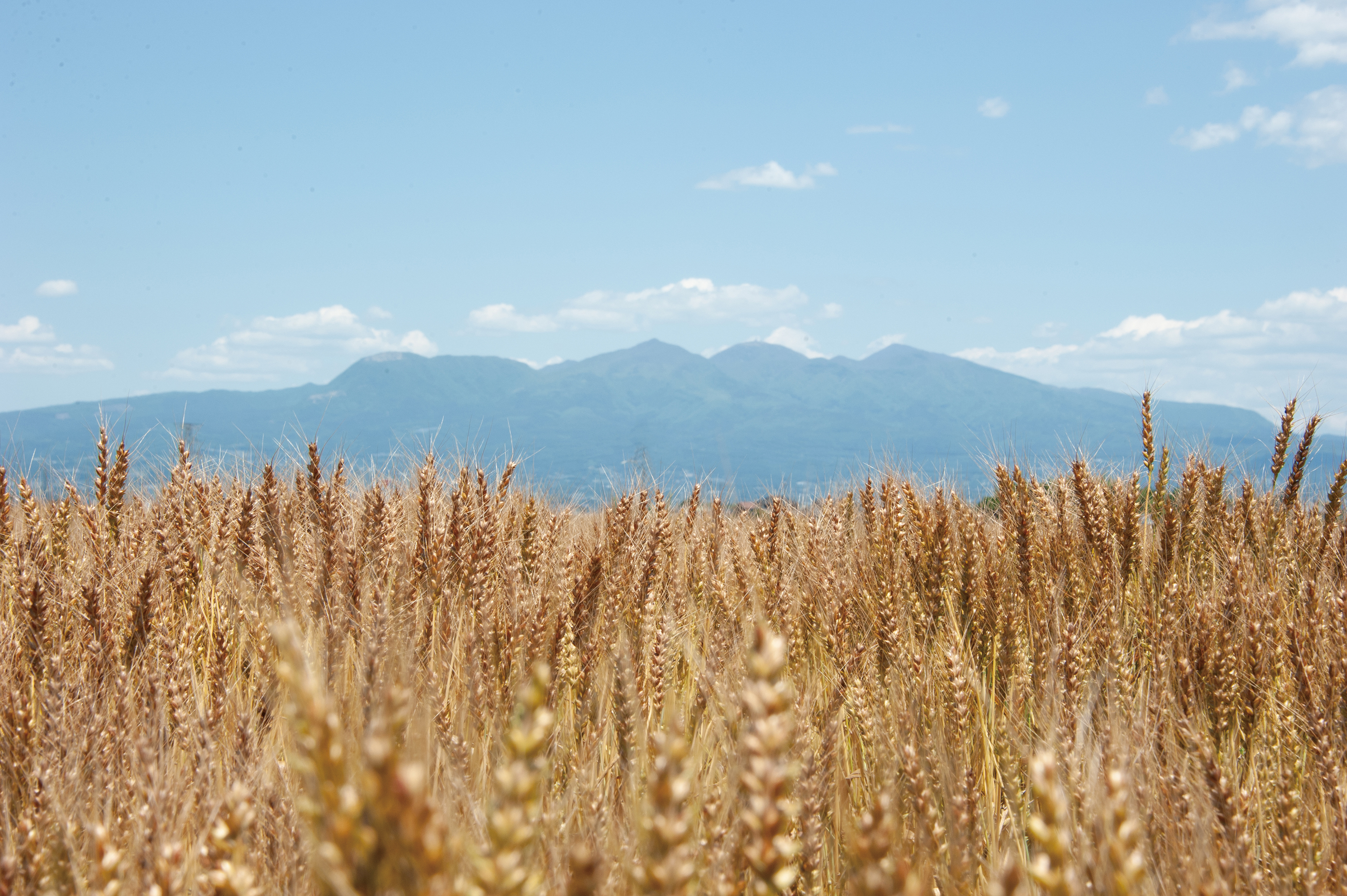 中途入社者に聞いた『スタイルブレッドに入社して良かったこと』をご紹介します！Part①