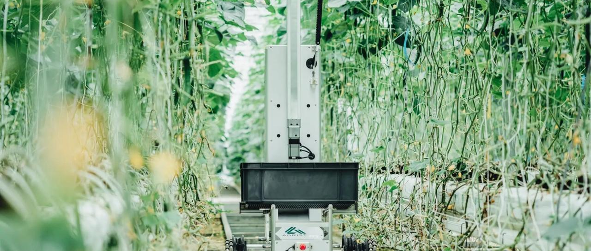 コーポレート部門／経理・財務の実務家