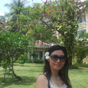Zhao Hong