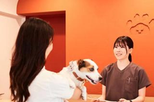 KINS WITH 動物病院 立川院 / 受付募集　パート・アルバイト