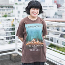 Hiromi Kashimoto