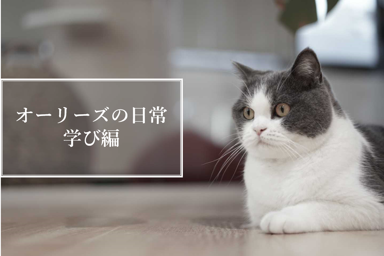 オーリーズの日常・学び編