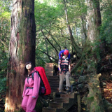 苑子 田中