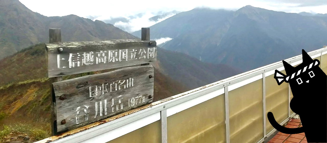 【社員blog】好きな場所で働く。ワーケーション体験記